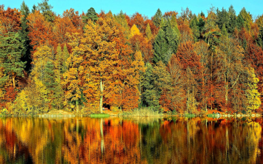 1252883 (a): :2560x1600